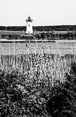 Harbor Lighthouse on Martha's Vineyard Island -BW